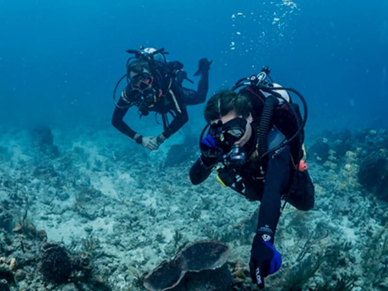 PADI Divemaster course