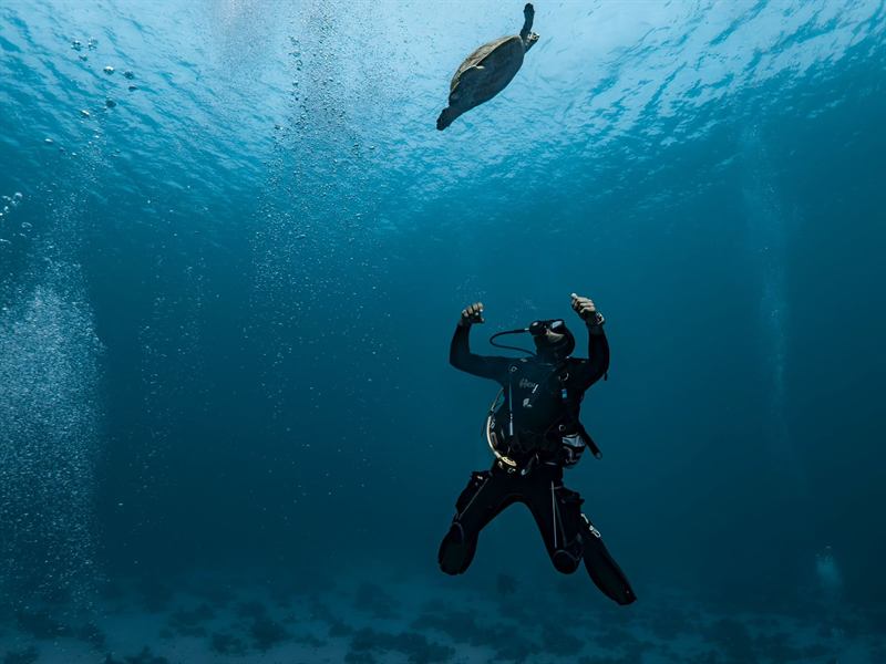 Two divers in the blue water below the surface