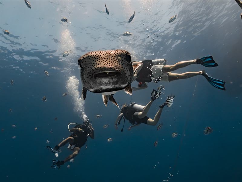 A diver underwater giving the thumbs-up