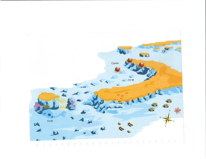 Banana Reef dive site, Red Sea