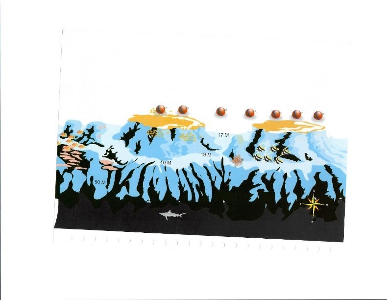 Carless Reef dive site, Red Sea