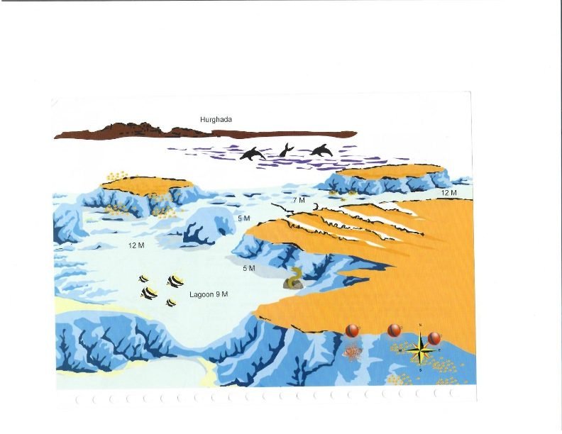 Fanous West dive site, Red Sea
