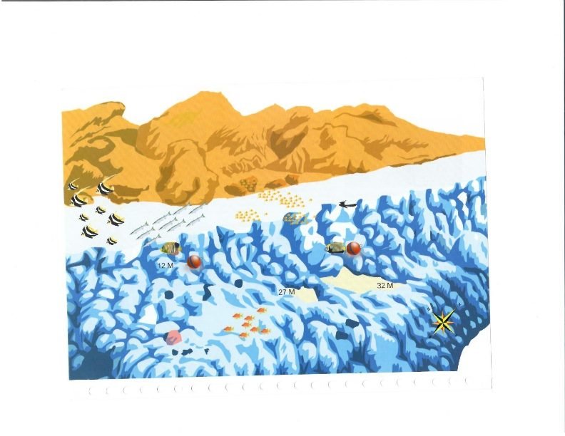 Hamda dive site, Red Sea