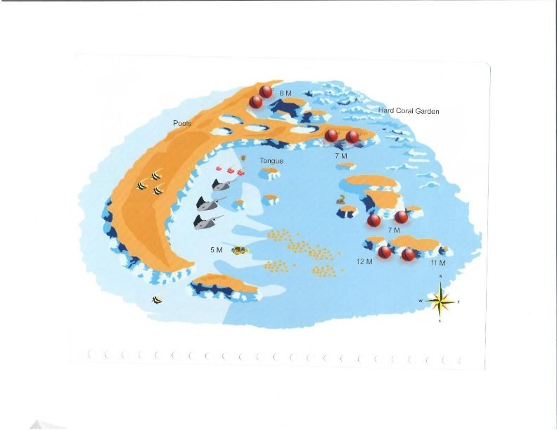 Shaab Abu Nugar dive site, Red Sea