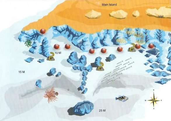 South Abu Ramada dive site, Red Sea