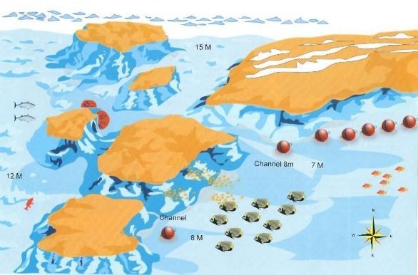 Turft El Shahed dive site, Red Sea