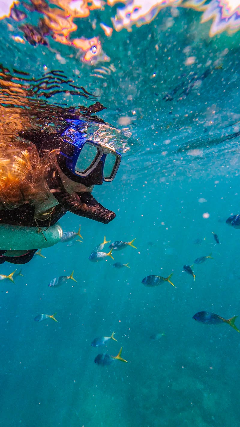 Snorkelen — foto