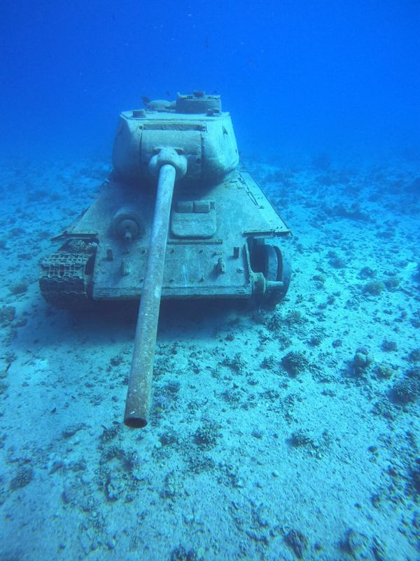 Panzerwrack am Turft El Shahed